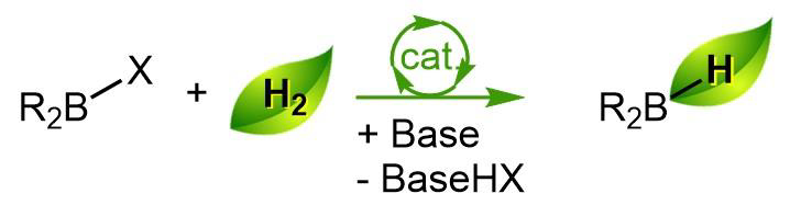 Boron_Chemistry's tweet image. Hydrogenolysis of haloboranes: from synthesis of hydroboranes to formal hydroboration reactions (@LCMCE_Lab, @TCantat): onlinelibrary.wiley.com/doi/10.1002/an… (@angew_chem).