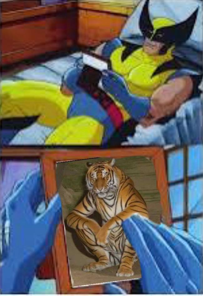 USDTiger's tweet image. The picture every degen has by their bedside.. the stable tiger that gives comfort after every rough day.. the savior.

$USDT