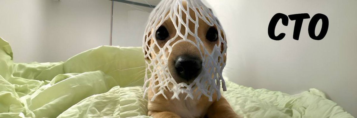 The CTO is real here:
$WBILLY
Dog is cute. 
Join the @wrapped_billy fam.