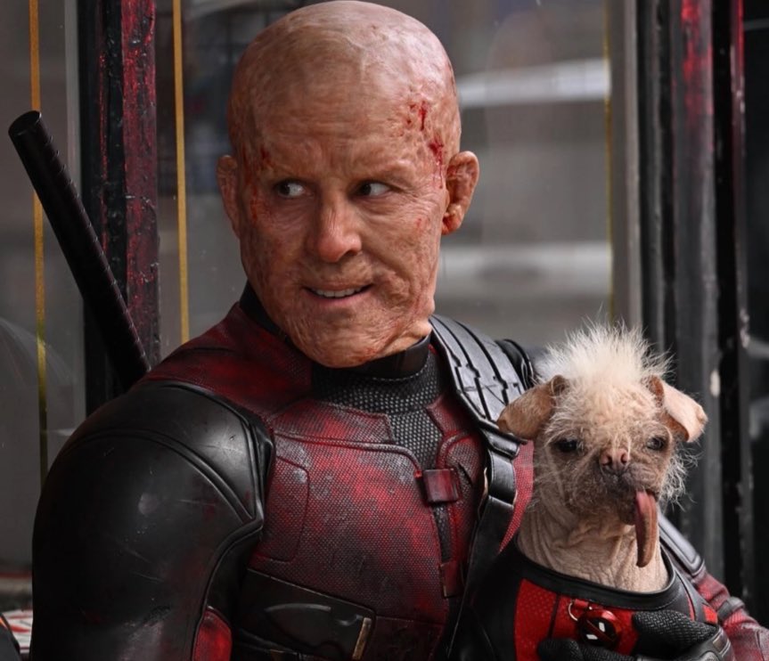 cosmic_marvel's tweet photo. Ryan Reynolds says he’s not sure if he will return as #Deadpool in the #MCU:

“I have no idea if I’ll ever wear that Deadpool suit again. Right now’s the time to just kind of hang it up for a bit and see what happens next.”

(via https://t.co/UCxq0iPpTE) https://t.co/ZUHbxum7Es