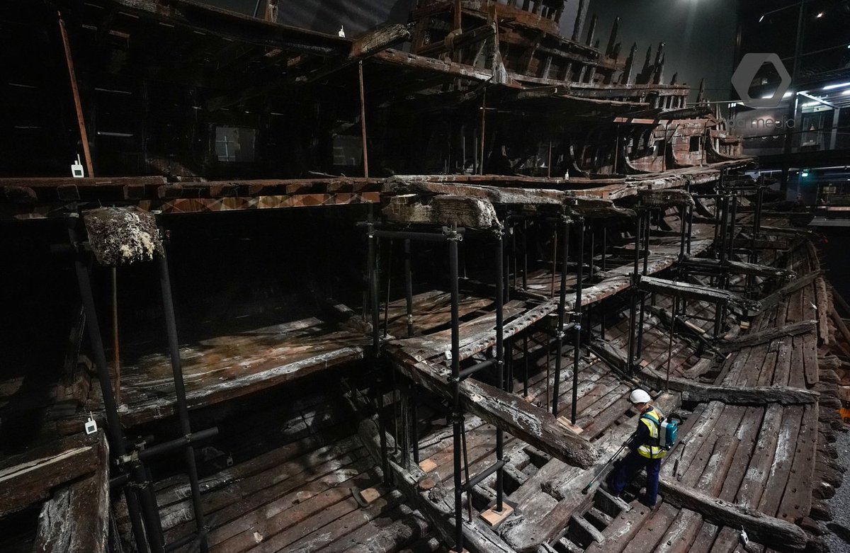 Andrew Matthews tweet media