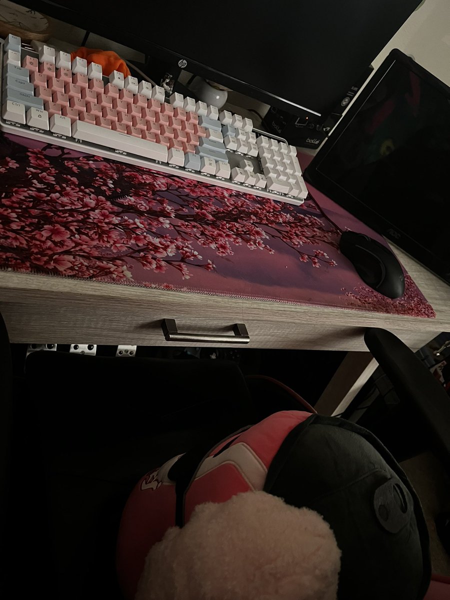 Cat / Cass ! ⊬✮丰¹¹⁸🐝🍉 tweet media