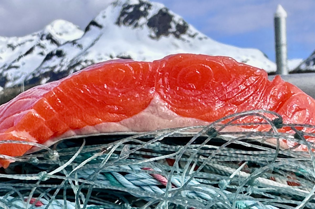 My wife doesn’t think I can sell 100 lbs of fish every month until fishing season starts again… she has always had that doomer kinda attitude. Looking forward to proving her wrong as always lol