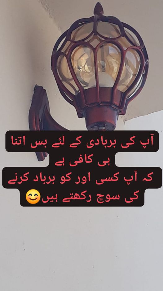 Hamza Ali tweet media