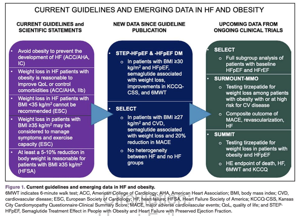 ZHeart11768530's tweet photo. 🔴Anti-obesity medications in people with heart failure: Current Evidence and Practical Guidance #2024Review
🔹https://t.co/gMDXe5siyW
#EKG #Multifocal #ECG #Cardiology #MAT #Atrial #Tachycardia #Diagnosis #comparison #electrocardiogram #Arrhythmias #ekg #clinical #ekg https://t.co/rKhkJZeXnH