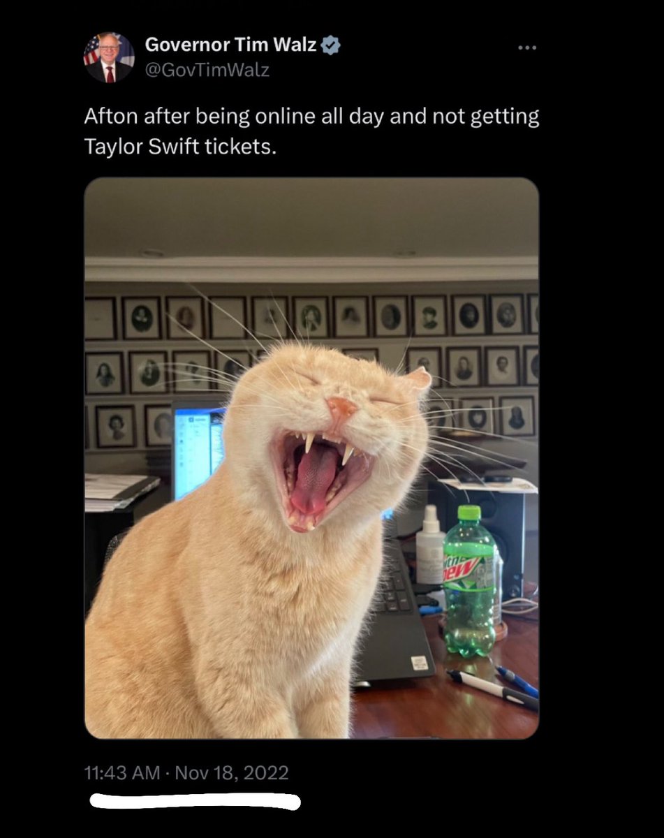 Tim Walz is a Swiftie and a cat guy….you couldn’t script this any better….the debate with JD Vance will be epic 🤣🍿