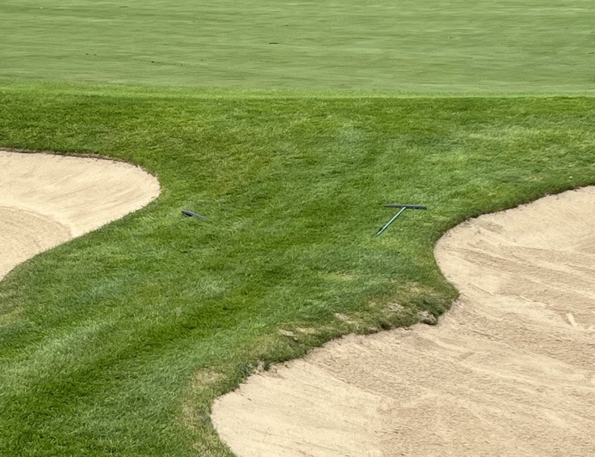 Bendelow Greens tweet media