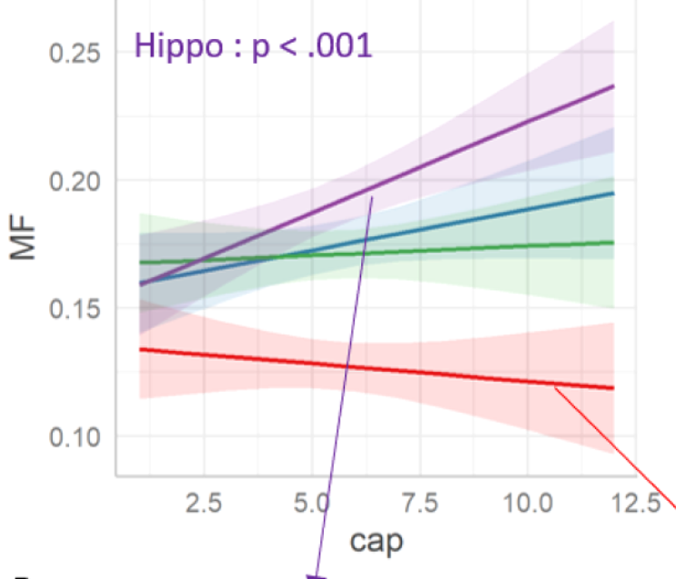 Northoff's Lab tweet media