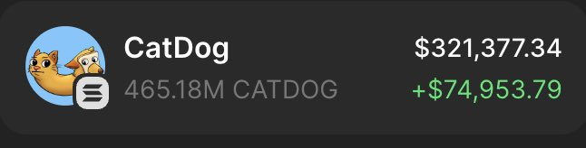DamnerLFG's tweet photo. Sending $1000 in $CATDOG to a random follower tomorrow 🎁

Drop your $SOL wallet, RT &amp; follow 🔔

~ 24 hours ⏰ https://t.co/DwTpY2u25y