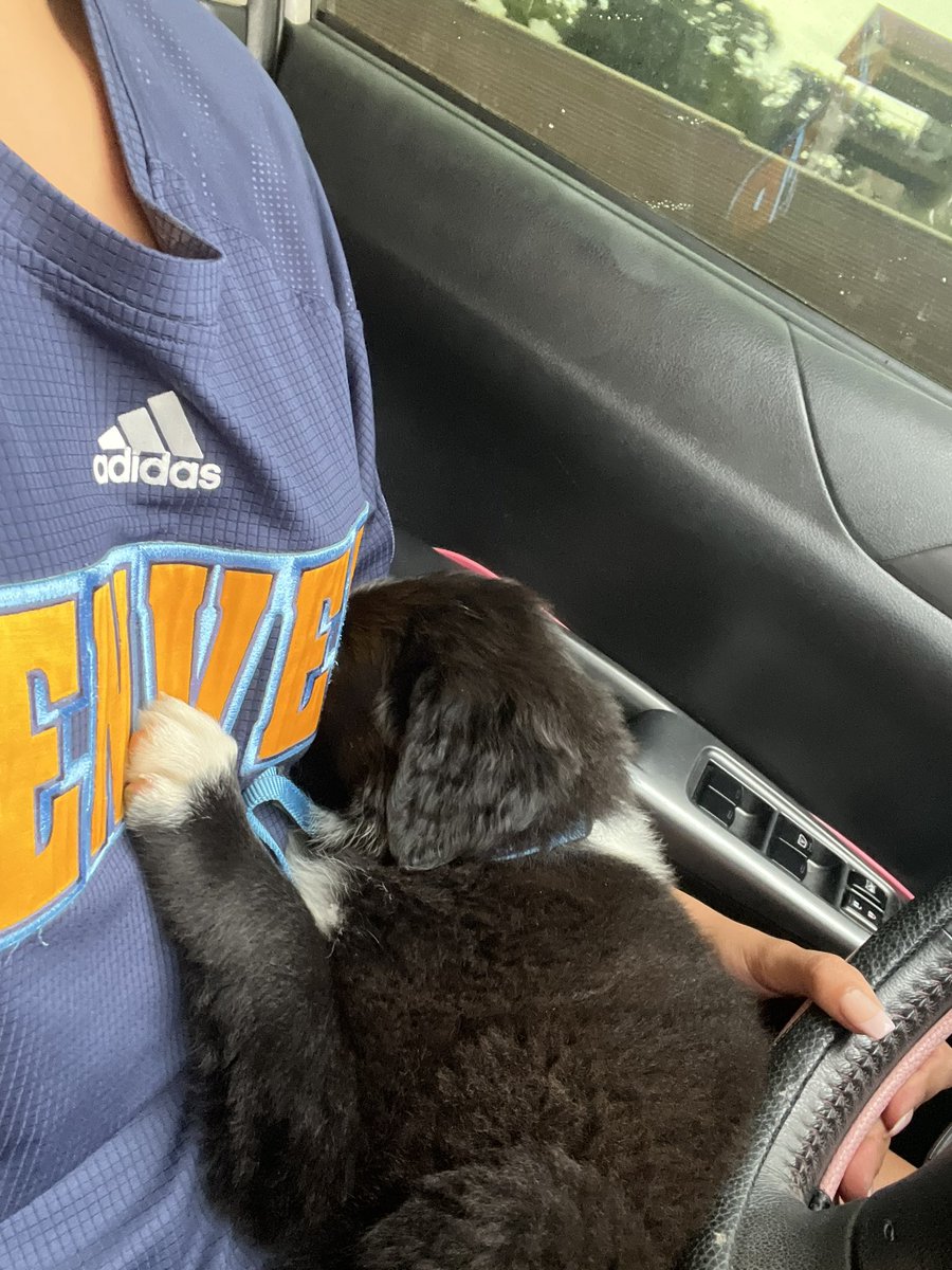 I’m a dog mommmmmm 😭🥰