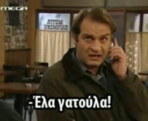 Τόγκα πρωην Κατσίκη tweet media