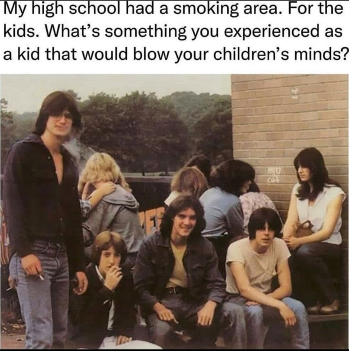 AlphaFox tweet media