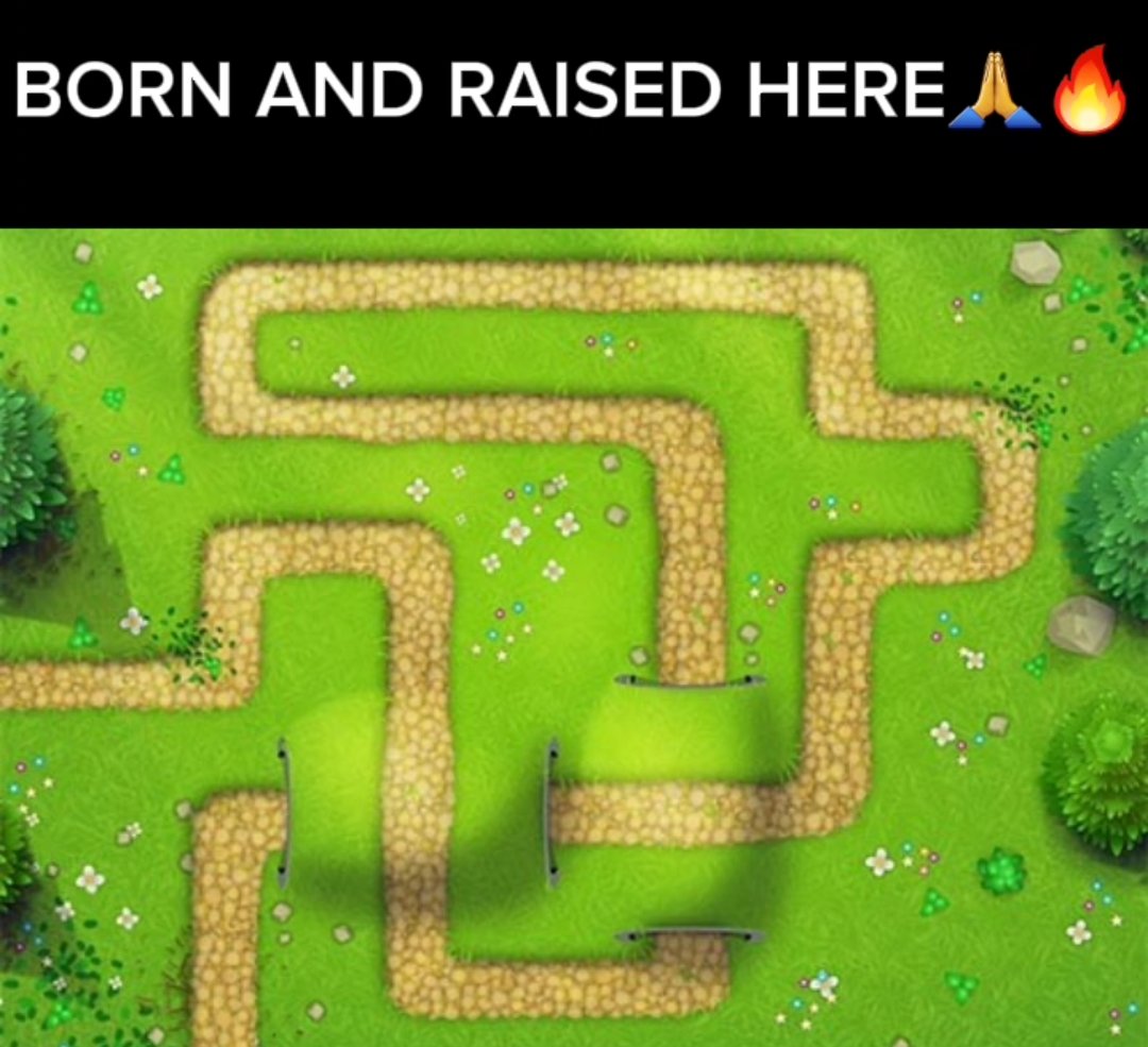 Smoke Dart Monkey🍃 tweet media