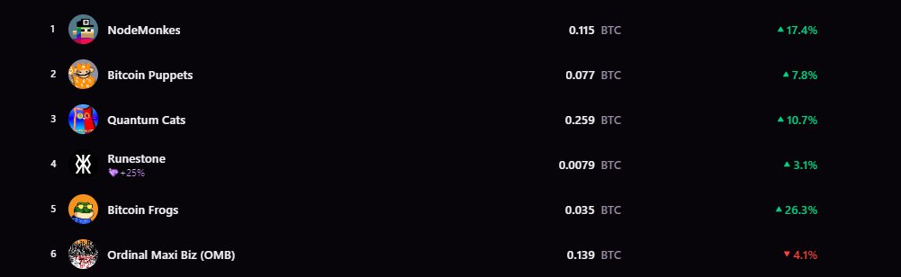 Bitcoin Frogs Merch tweet media