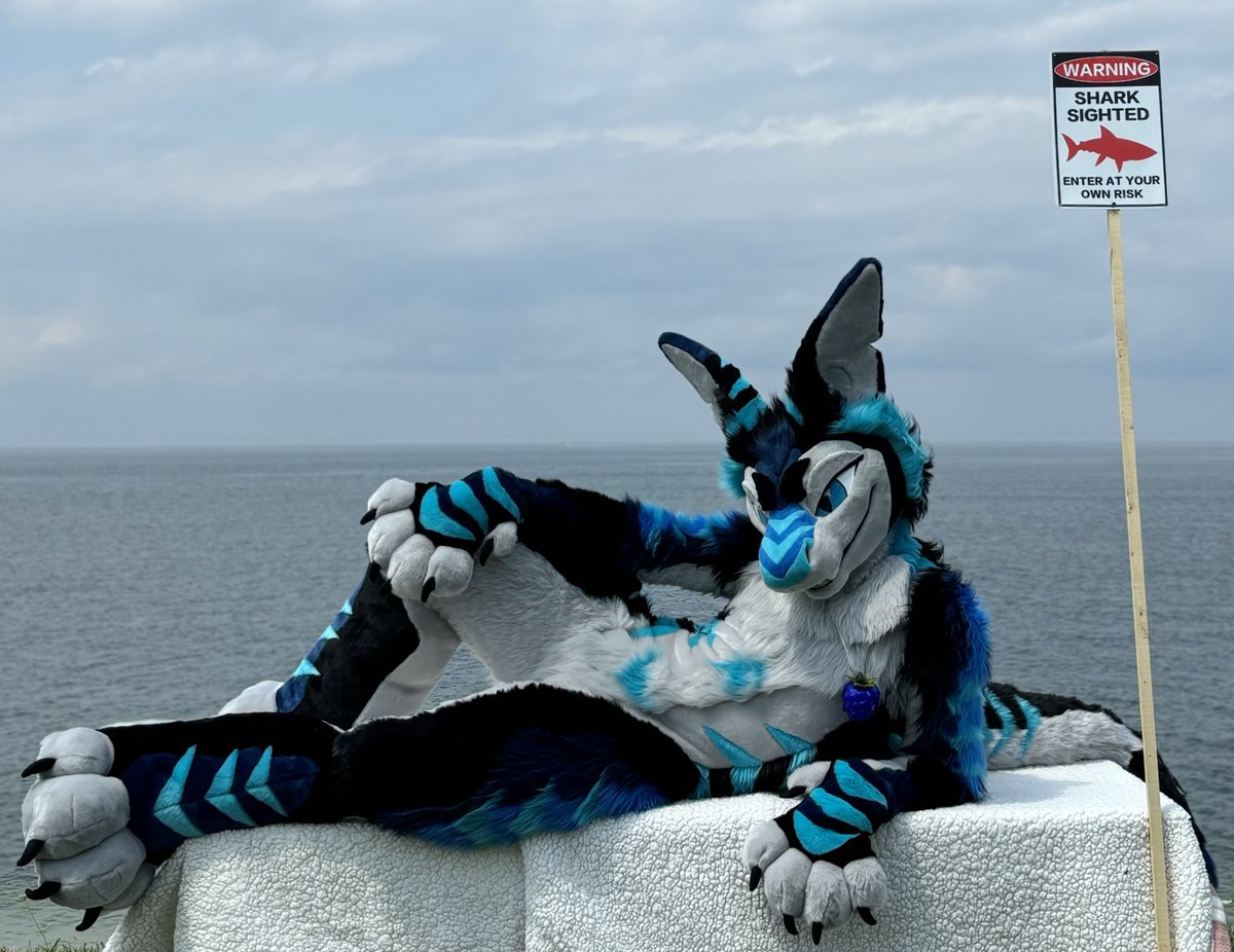 WARNING!!! 
There’s a new shark outta water coming to a con near you… 🦈🦈🦈
🧵: <a href="/hounds_teeth/">houndsTEETH</a>