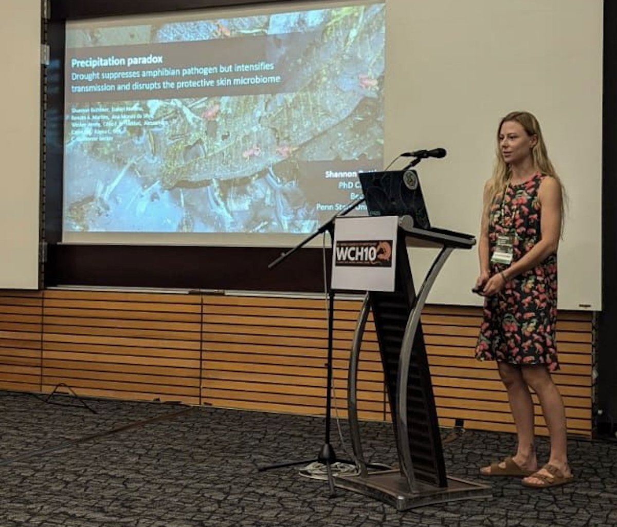 Becker Lab (@becker_lab) on Twitter photo Kudos to <a href="/shannonbuttimer/">Shannon Buttimer, PhD</a> for representing <a href="/Becker_Lab/">Becker Lab</a> at the @WCH10! She presented on the impact of drought on animal behavior and disease transmission in tropical frogs. Kudos to <a href="/shannonbuttimer/">Shannon Buttimer, PhD</a> for representing <a href="/Becker_Lab/">Becker Lab</a> at the @WCH10! She presented on the impact of drought on animal behavior and disease transmission in tropical frogs.