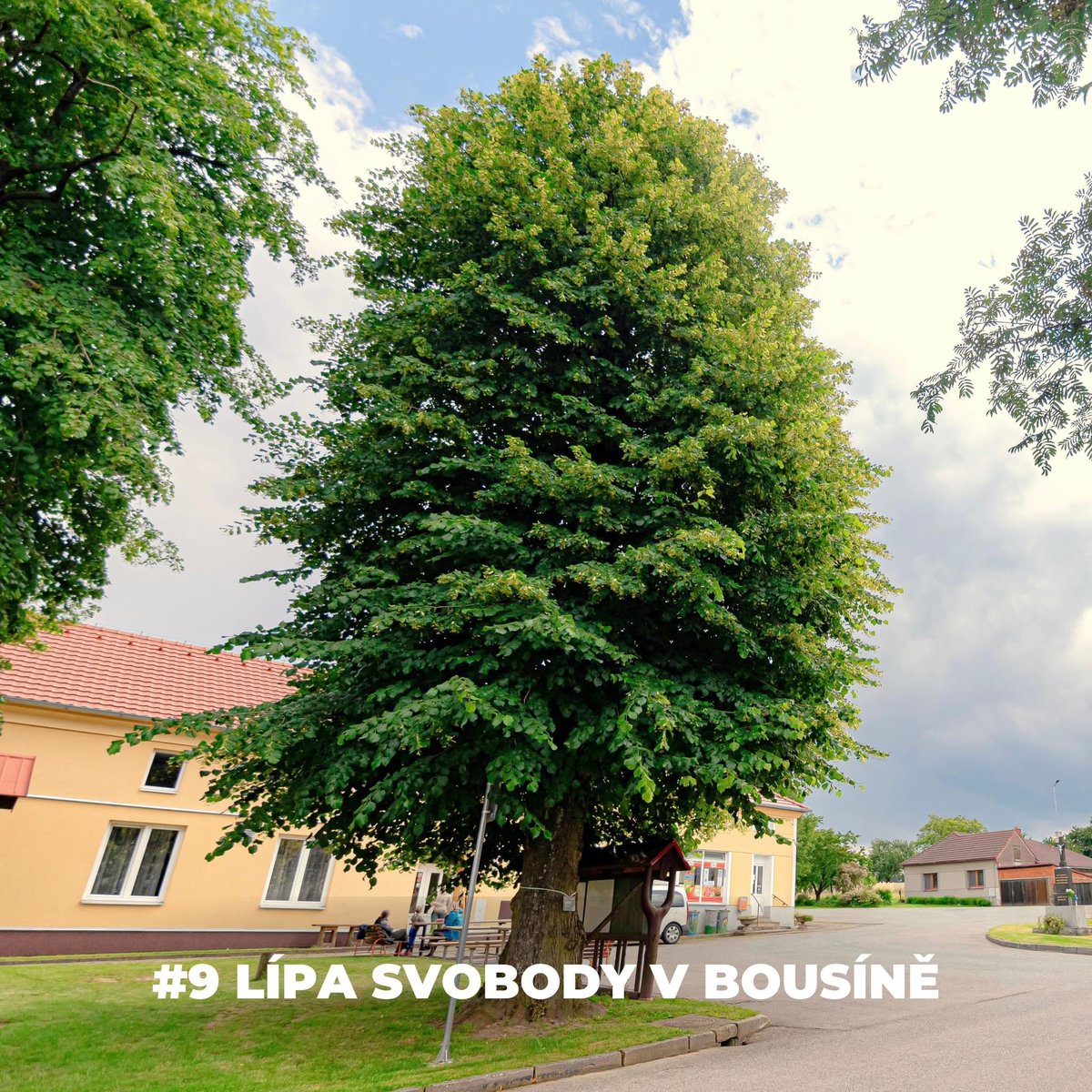 Nadace Partnerství tweet media