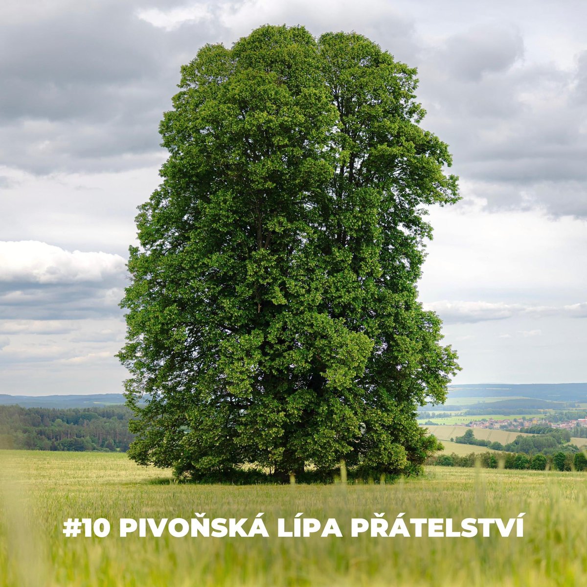 Nadace Partnerství tweet media