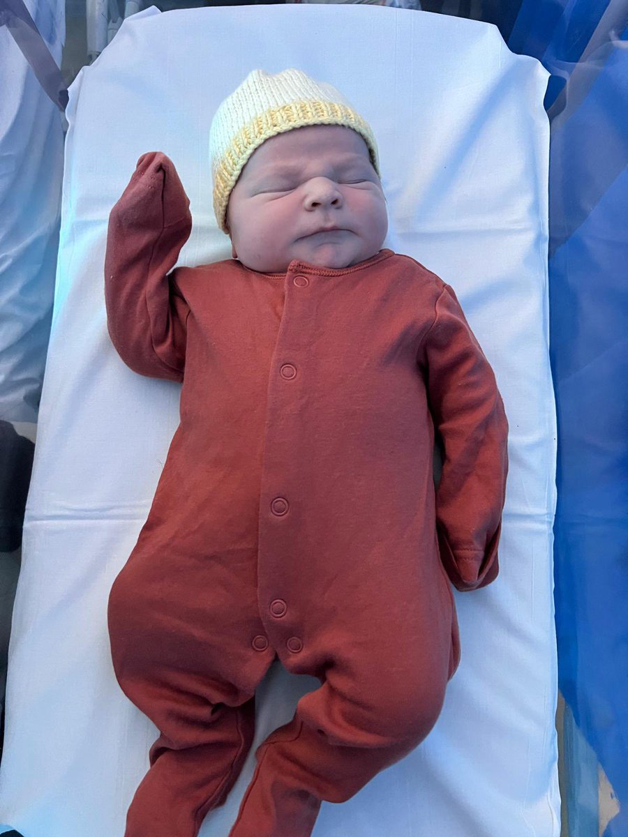 Marino Peixoto tweet media