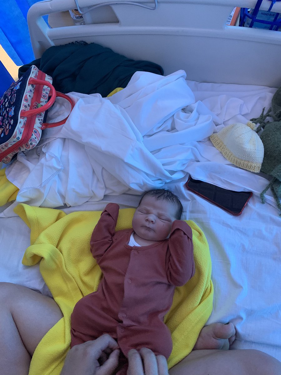 Marino Peixoto tweet media