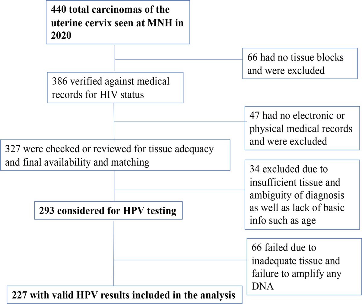 IAC_journal's tweet photo. Just published! High-risk human papillomavirus genotyping in cervical cancers in Tanzania https://t.co/OZ8BvDaCuP https://t.co/VnXPnFZu4k