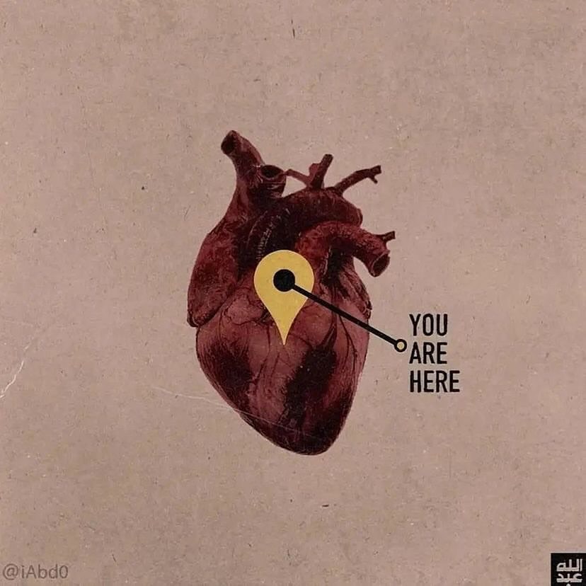 Mind Essentials tweet media