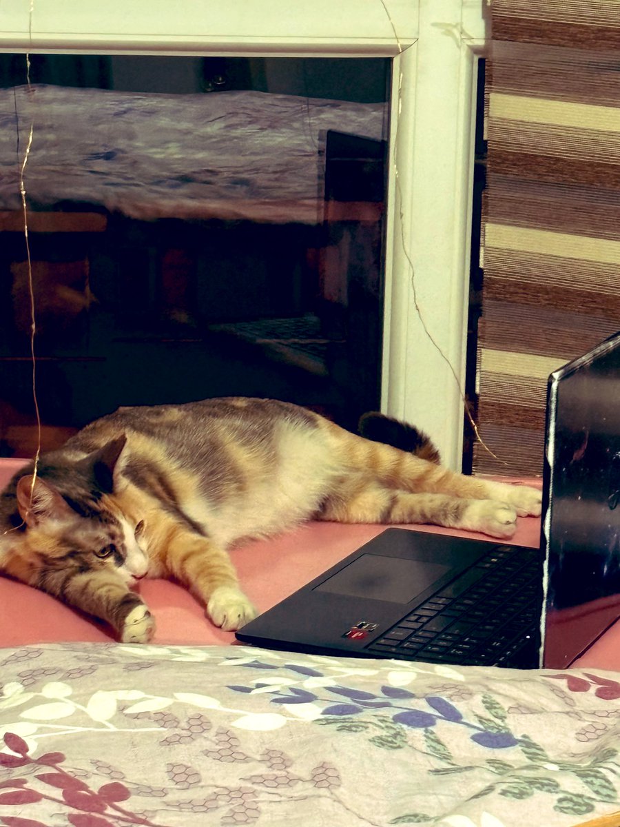 Annemin öz kızı. Odası laptop ı falan var. Ben de fırsat kalırsa işte😬