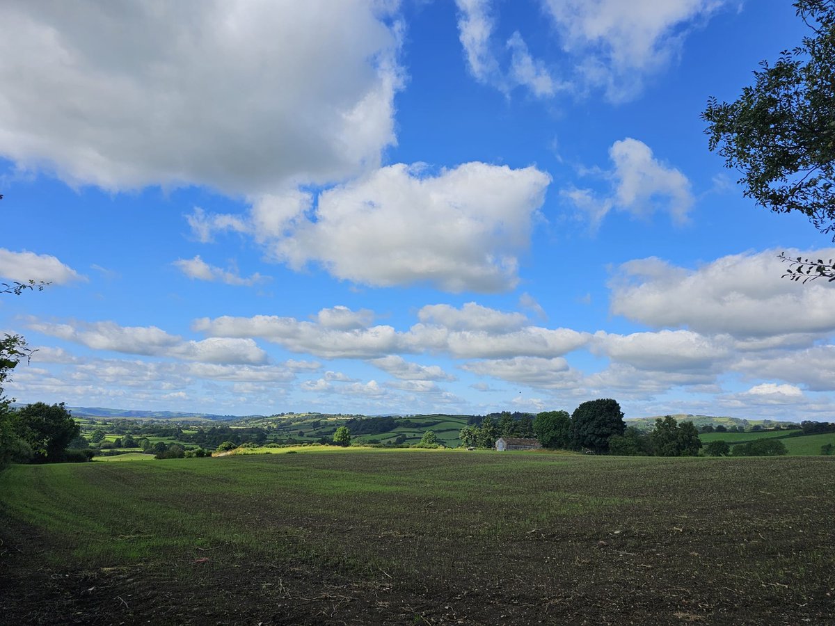 Heart of Wales Line tweet media