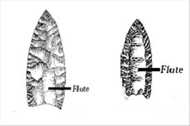 SignificantWyv1's tweet photo. @GeeBaby_1997 @InternetH0F A similar concept was used in gothic style plate armor of the 15th century to make it more rigid and resistant to dents (this is known as fluting), aswell as the stone spearheads of the Folsom and ealier the Clovis cultures of North America https://t.co/KWQux8hInA
