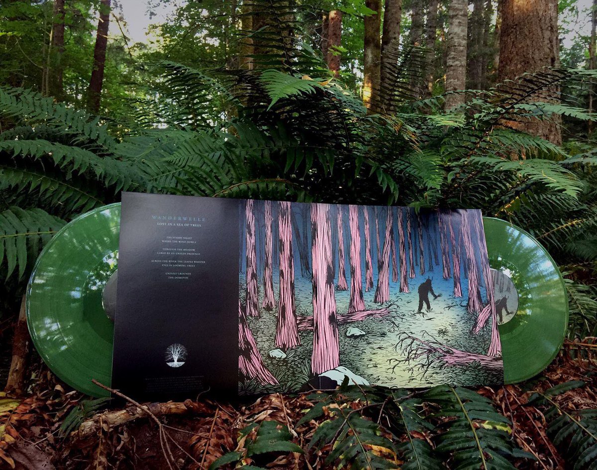Due to high demand, we have decided to start working on a special, remastered reissue...

If you are interested and would like to secure a copy in advance, please DM us on Instagram: instagram.com/wanderwelle or send us an email at wanderwellemusic(at)gmail.com.