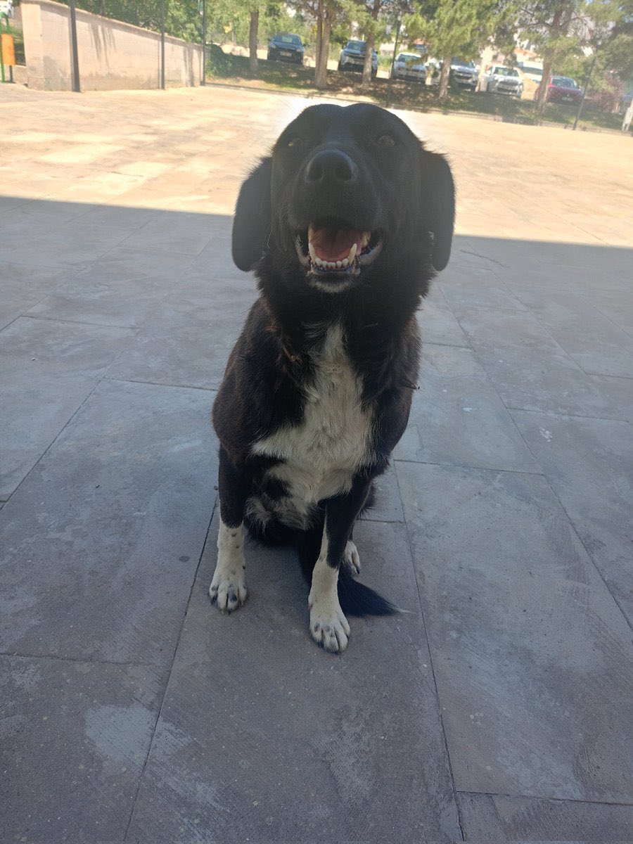 Herkesle helalleşeceksiniz onlar hariç ! Canına kıydığınız hayvanlarla helalleşmeniz olmayacak . 

Yaşattığınızı yaşayın .  #nigdedekatliamvar