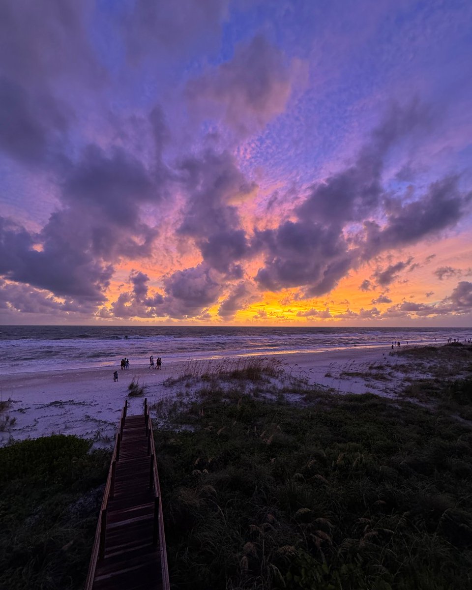 Visit Bradenton Gulf Islands tweet media
