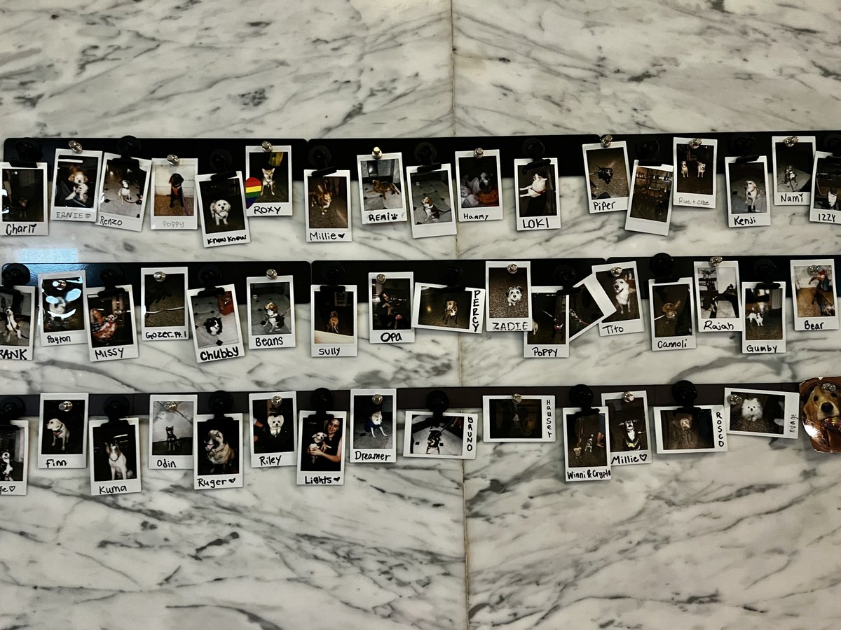 Christine Lozada tweet media