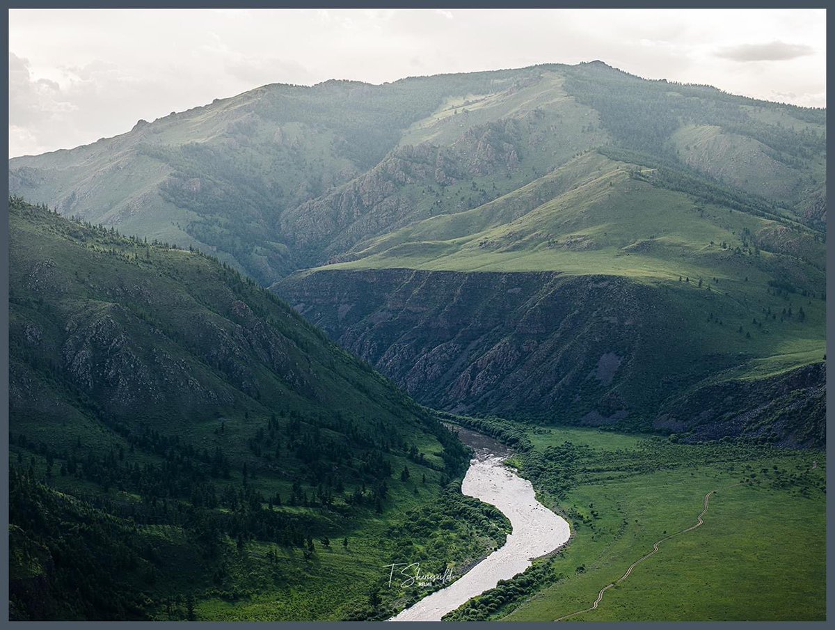 Билигт сайн өглөөний мэнд