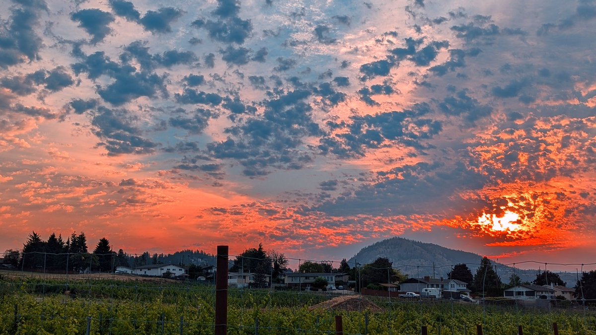 SDPhotos22's tweet photo. The sky is on fire this morning! #BeautifulNature #photographychallenge #photograghy #NaturePhotograhpy #artwork #sunrise https://t.co/Xj2gkWsENA