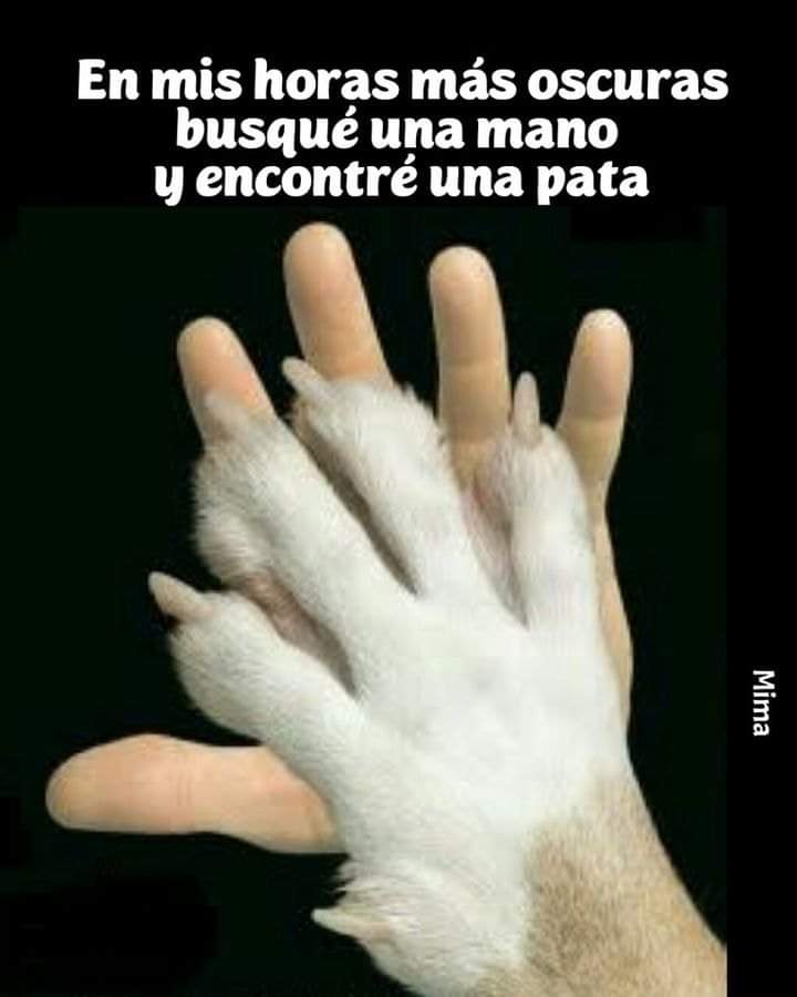 Buenas noches ✨💖