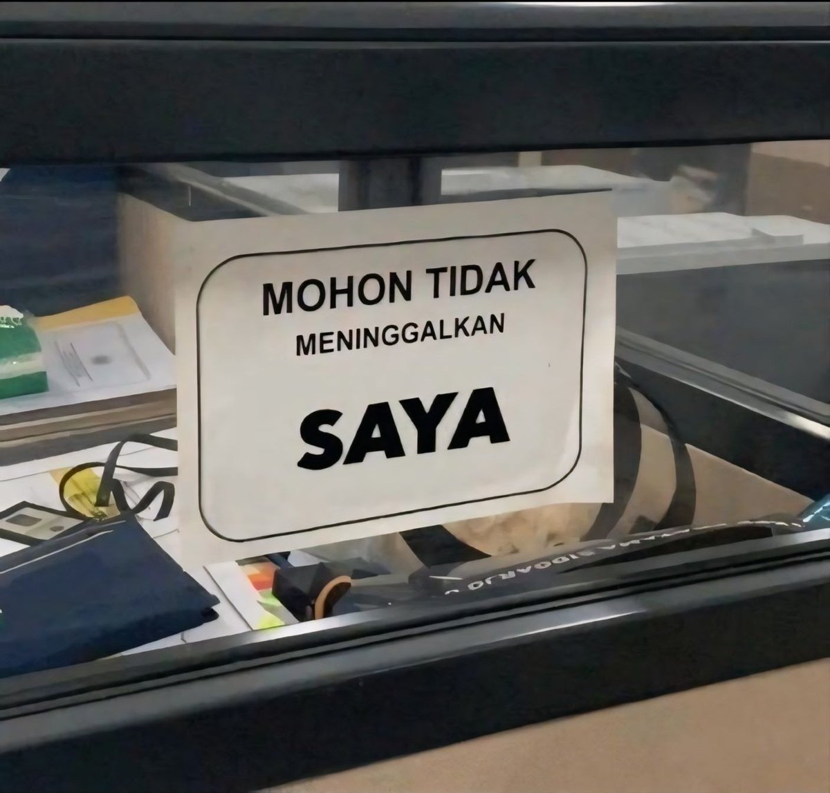 plis plis plis🙏🏻