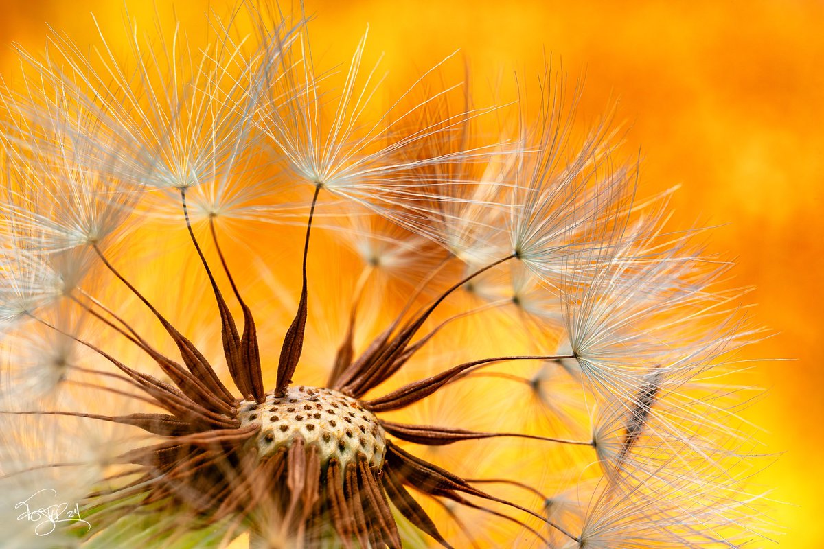 strictly_macro's tweet photo. @Sam_Alexandra23 Not sure if any of these count?… https://t.co/QvaLd9XwYu