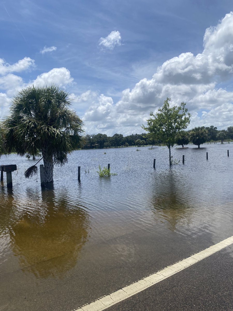 Verace_me's tweet photo. @SRQmamabear @dontdemdownsrq Not my house/ the entire area around Raymond Road/Palmer/Apex/Porter are in very bad shape The farm where they want to put 170 houses is a complete lake and overtook the entire Raymond Road(Celery Fields)
#DRHorton #CeleryFields 
@CoeAlexandra @crowdedfalafel 
#BOCC #HighDensity https://t.co/xpRQ4RVGD3