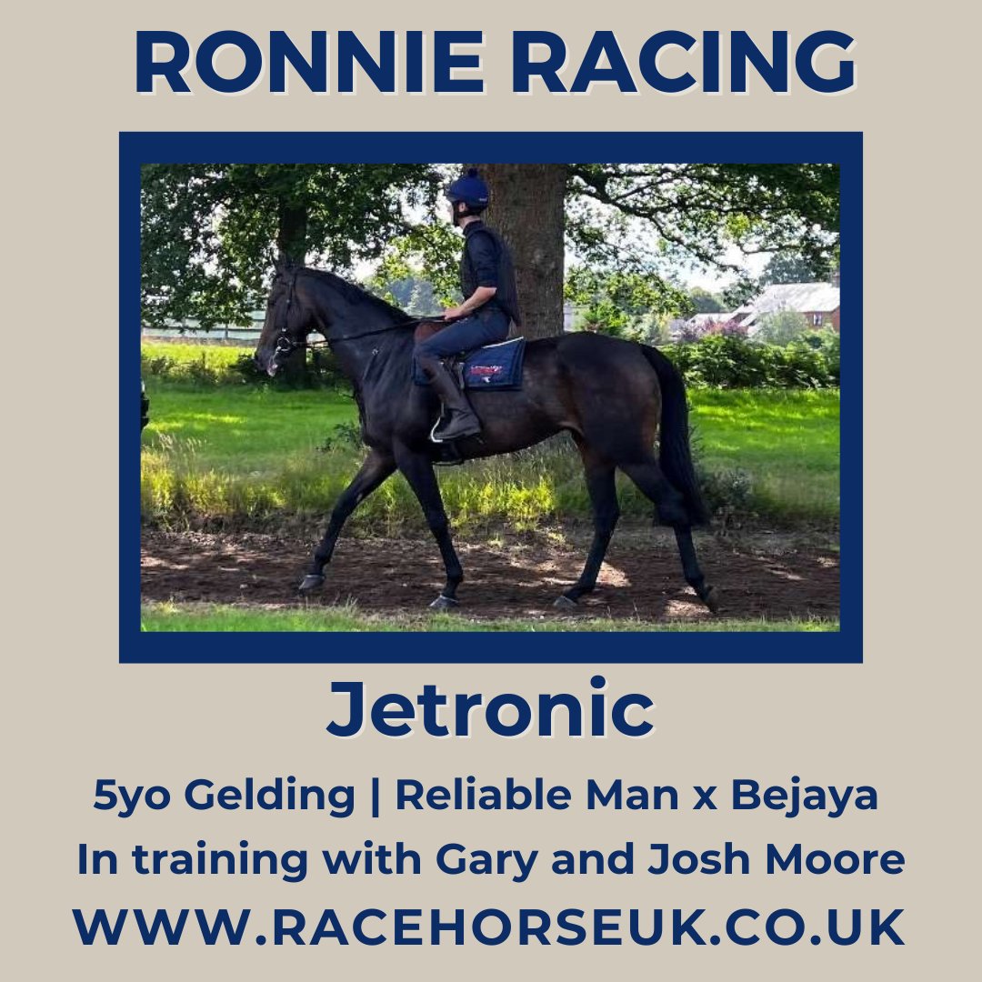Racehorse_UK's tweet image. 🏇 @ronnieracingltd is thrilled to introduce Jetronic! 🛩 In training with @gl_racing, this 5-year-old gelding is already a winner, and he is sure to provide his owners with many exciting days at the races. 🌟racehorseuk.co.uk/horse-detail/?… #horsracing #racehorse #syndicate