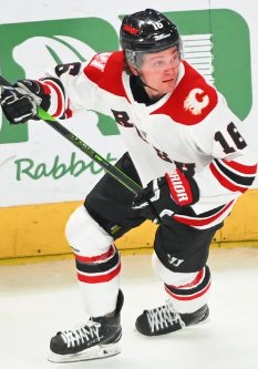 ECHL Week tweet media