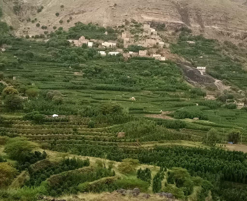 بلادي وإن جارت على عزيزة. وأهلي وإن ضنوا على كرام. بلادي وأن هانت علـى عزيزة. ولو أننى أعرى بها وأجـوع. ولى كف ضرغام أصول ببطشها. وأشرى بها بين الـورى وأبيع.

تم البحث أيضًا عن