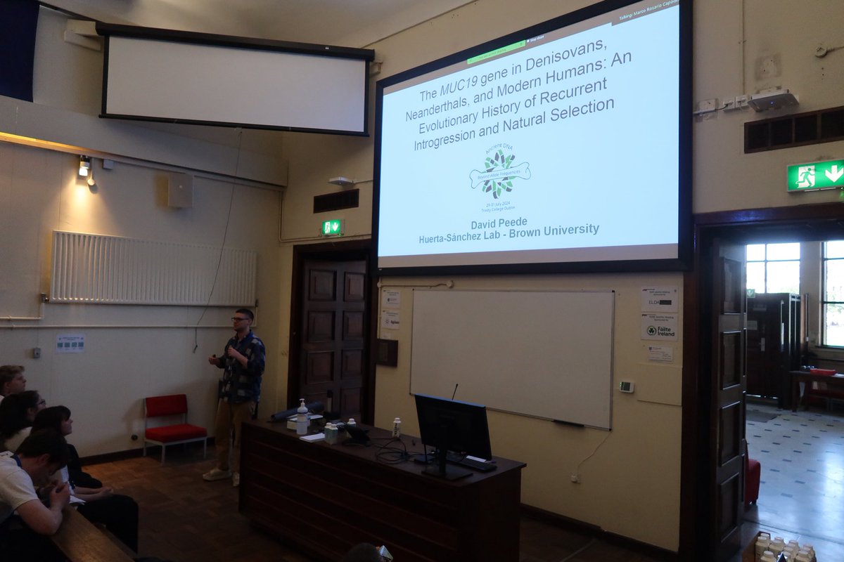 David Peede tweet media