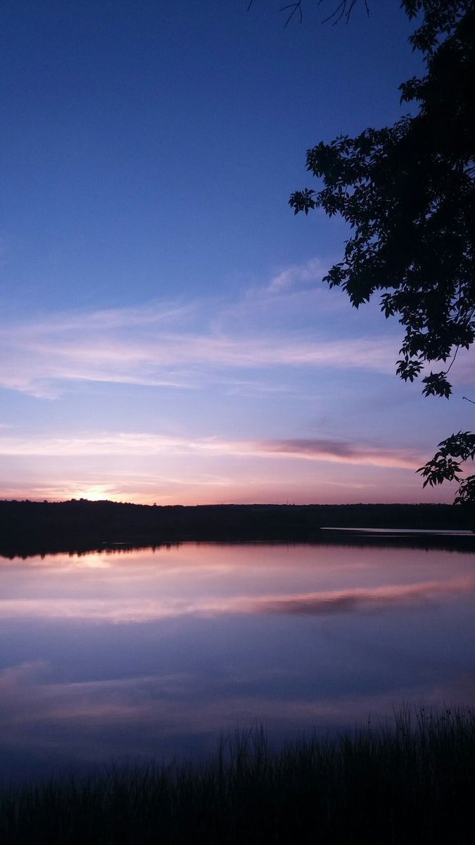 Trywggggg's tweet image. #pond #beautifulcolor #tree #trees #wood #woods #Forest #pink #pinkclouds #purplesky #sunset #VIBE #vibes #vibez