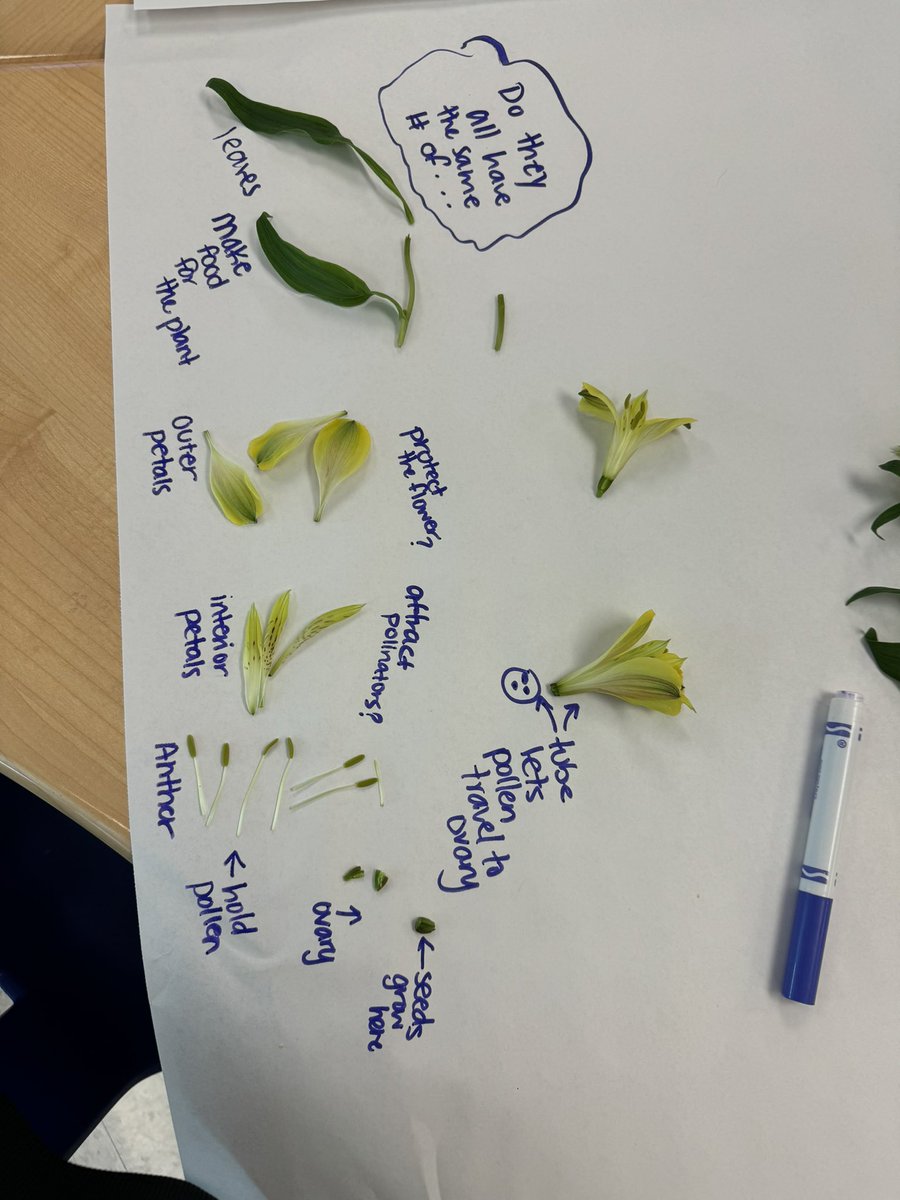 Ellen Rogers (she/her) tweet media