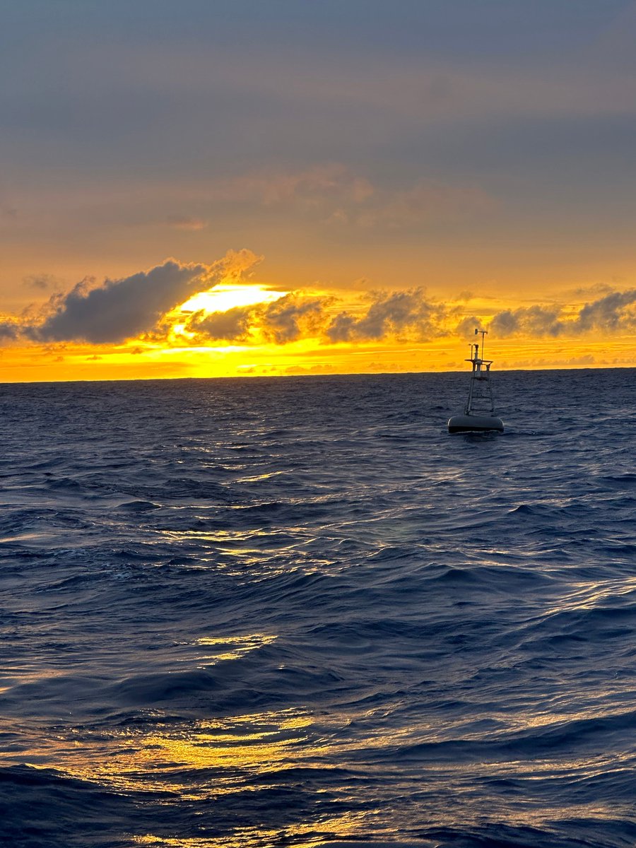 databuoycenter's tweet photo. Here’s a #postcard from the field: Our team sent back pictures from deploying a TAO Recapitalization station, 8N 165E! This station is part of our efforts to update our #climate array by 2027. #NDBCAtSea @NOAA @NWS https://t.co/O3pvyCB10V https://t.co/7aY0kLSzJo