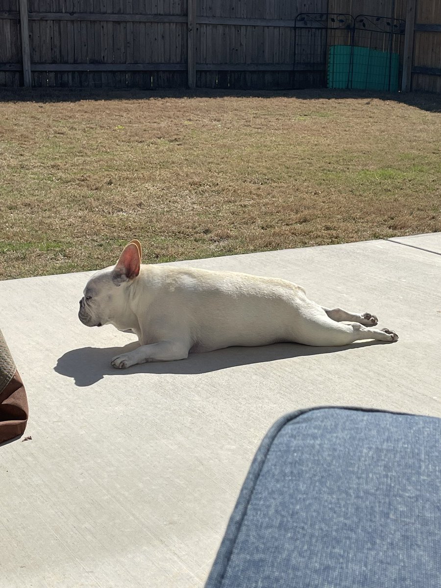 RIP Valentina! She brought so much joy and happiness to everyone she met. You will be missed girl. I hope you’re sunning those buns everyday up in heaven! 😢