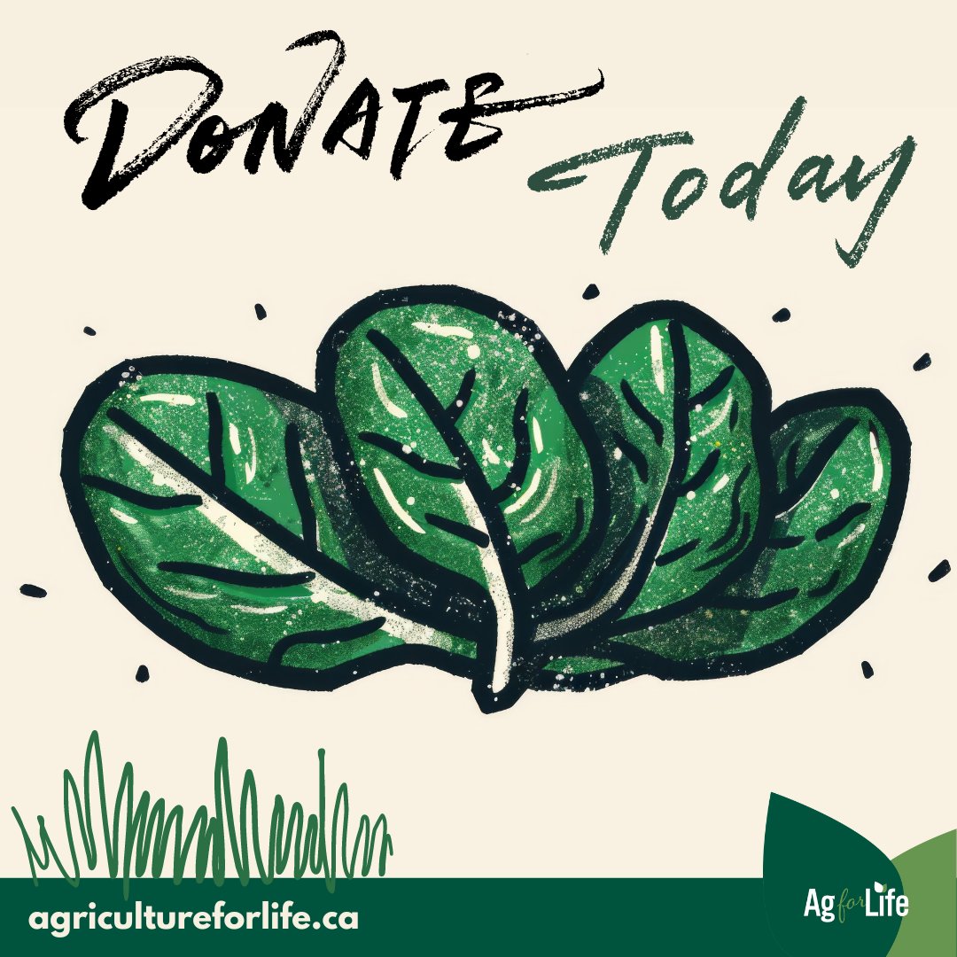 Gardening empowers students by teaching skills in food production, nutrition and sustainability. Growing their own food gives kids fresh produce, instills pride and enhances their understanding of food systems. We need your support—please consider donating today.