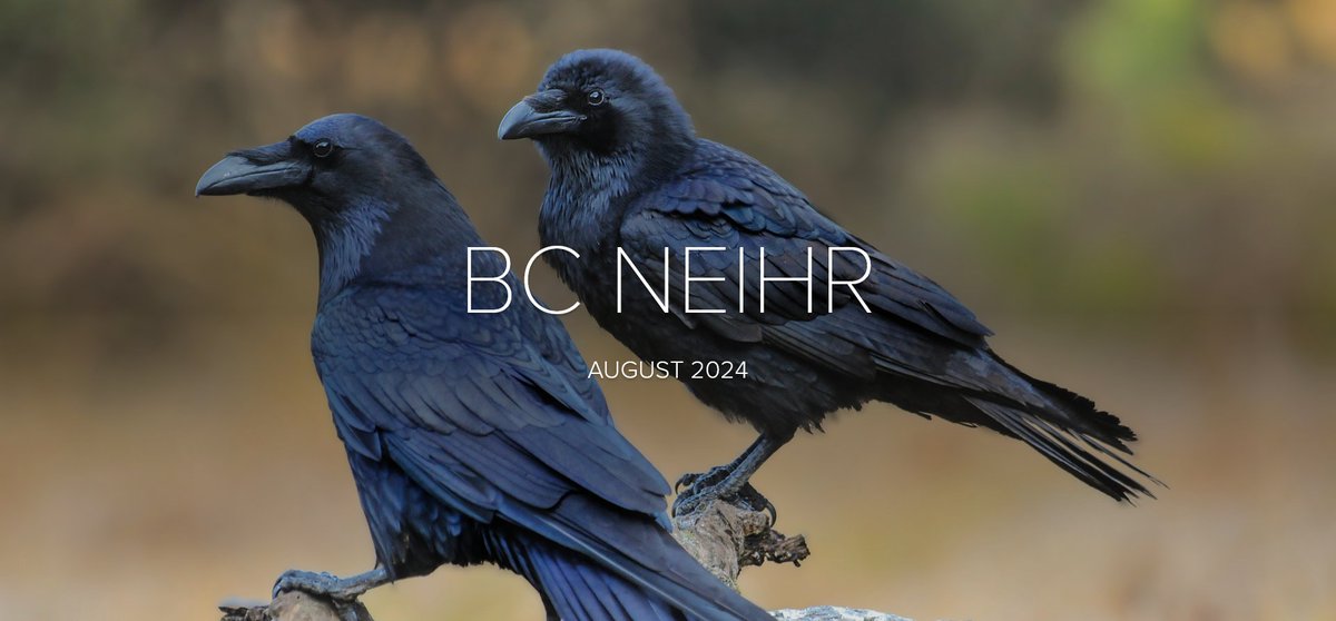 BC NEIHR (@bcneihr) on Twitter photo Our August newsletter is available! Get ready for a busy fall with lots of amazing events and opportunities!
🔗new.express.adobe.com/webpage/iTZ52W…
<a href="/CCAIHG/">Centre for Indigenous Health Governance</a> <a href="/fnha/">FNHA</a> <a href="/BCAAFC/">BC Friendship Centres</a> <a href="/HlthResearchBC/">Michael Smith Health Research BC</a> <a href="/BCSUPPORTUnit/">BC SUPPORT Unit</a> <a href="/CIHR_IRSC/">CIHR</a> <a href="/VCHhealthcare/">Vancouver Coastal Health</a> <a href="/SFU_GradStudies/">SFU Faculty of Graduate Studies</a> @UBCGradSchool <a href="/UNBC_FNC/">UNBC First Nations Centre</a> <a href="/uvic/">UniversityOfVictoria</a> <a href="/VanIslandHealth/">Island Health</a> Our August newsletter is available! Get ready for a busy fall with lots of amazing events and opportunities!
🔗new.express.adobe.com/webpage/iTZ52W…
<a href="/CCAIHG/">Centre for Indigenous Health Governance</a> <a href="/fnha/">FNHA</a> <a href="/BCAAFC/">BC Friendship Centres</a> <a href="/HlthResearchBC/">Michael Smith Health Research BC</a> <a href="/BCSUPPORTUnit/">BC SUPPORT Unit</a> <a href="/CIHR_IRSC/">CIHR</a> <a href="/VCHhealthcare/">Vancouver Coastal Health</a> <a href="/SFU_GradStudies/">SFU Faculty of Graduate Studies</a> @UBCGradSchool <a href="/UNBC_FNC/">UNBC First Nations Centre</a> <a href="/uvic/">UniversityOfVictoria</a> <a href="/VanIslandHealth/">Island Health</a>