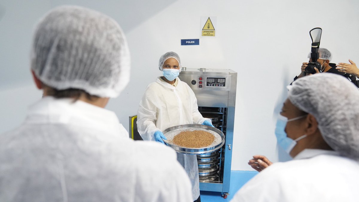MIC_RD's tweet photo. En un nuevo recorrido en la #RutaIndustrial🚜, el ministro Ito Bisonó (@itobisono) encabezó la inauguración de la Sala de Extracción de Miel, en las instalaciones de Miel de la Abuela, ubicadas en la Zona Industrial PRO-INDUSTRIA de San Cristóbal, que se les ha facilitado a través del acuerdo entre el MICM y el Centro para el Desarrollo Agropecuario y Forestal (@CEDAF_RD), a la Asociación de Apicultores de la Provincia de San Cristóbal (APISAN), lo que representa un paso significativo hacia el desarrollo sostenible del sector apícola dominicano.